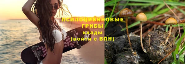 твердый Арсеньев